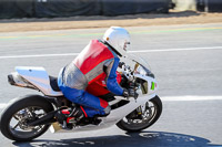 brands-hatch-photographs;brands-no-limits-trackday;cadwell-trackday-photographs;enduro-digital-images;event-digital-images;eventdigitalimages;no-limits-trackdays;peter-wileman-photography;racing-digital-images;trackday-digital-images;trackday-photos